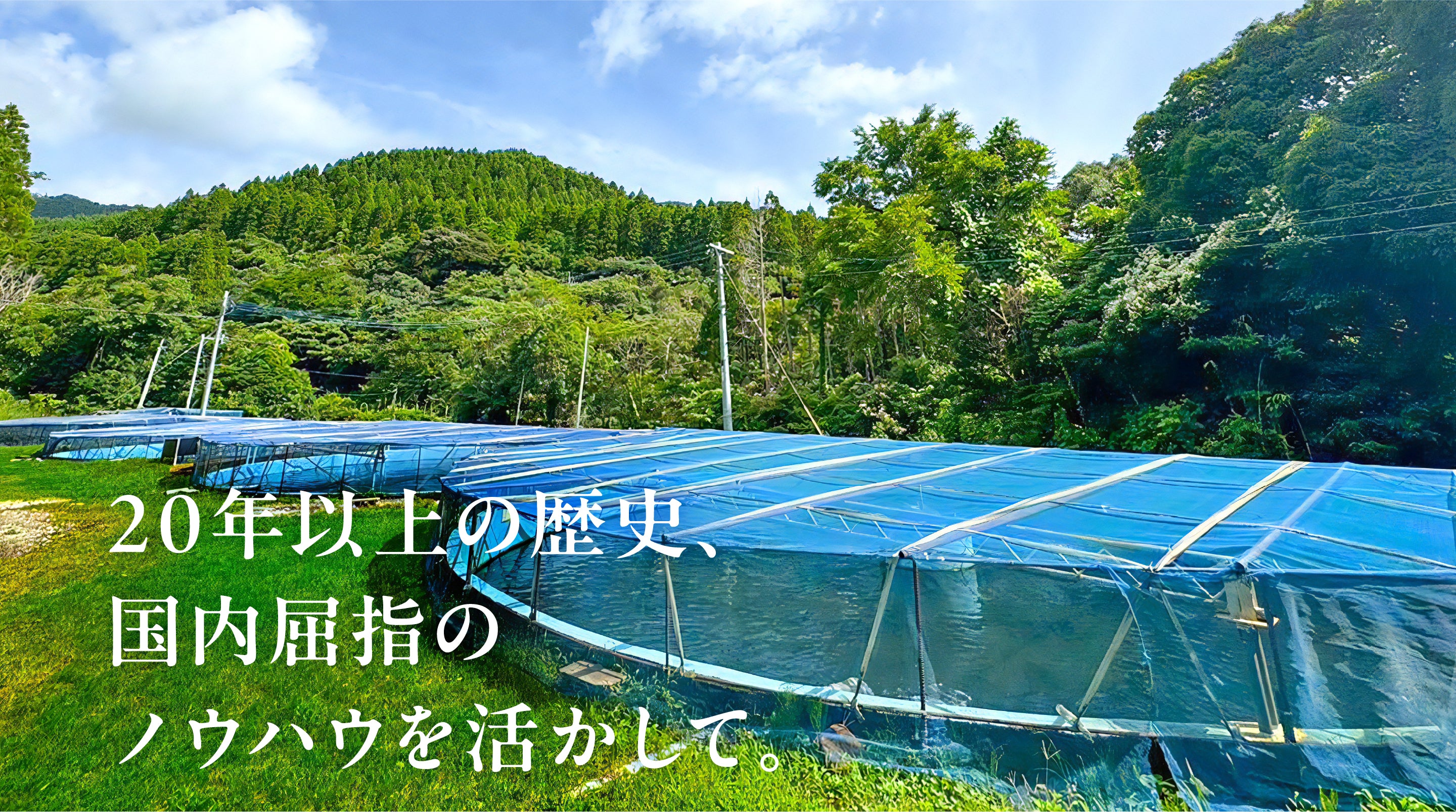 20年以上の歴史、国内屈指のノウハウを活かして。