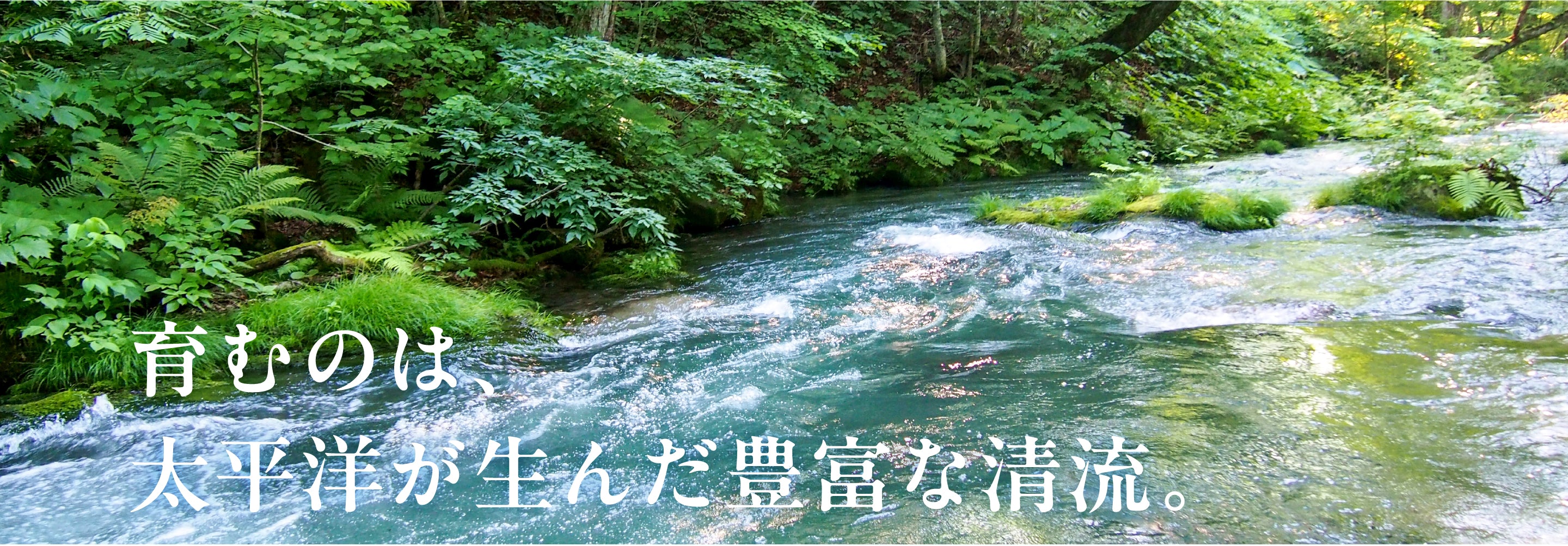 育むのは、太平洋が生んだ豊富な清流。