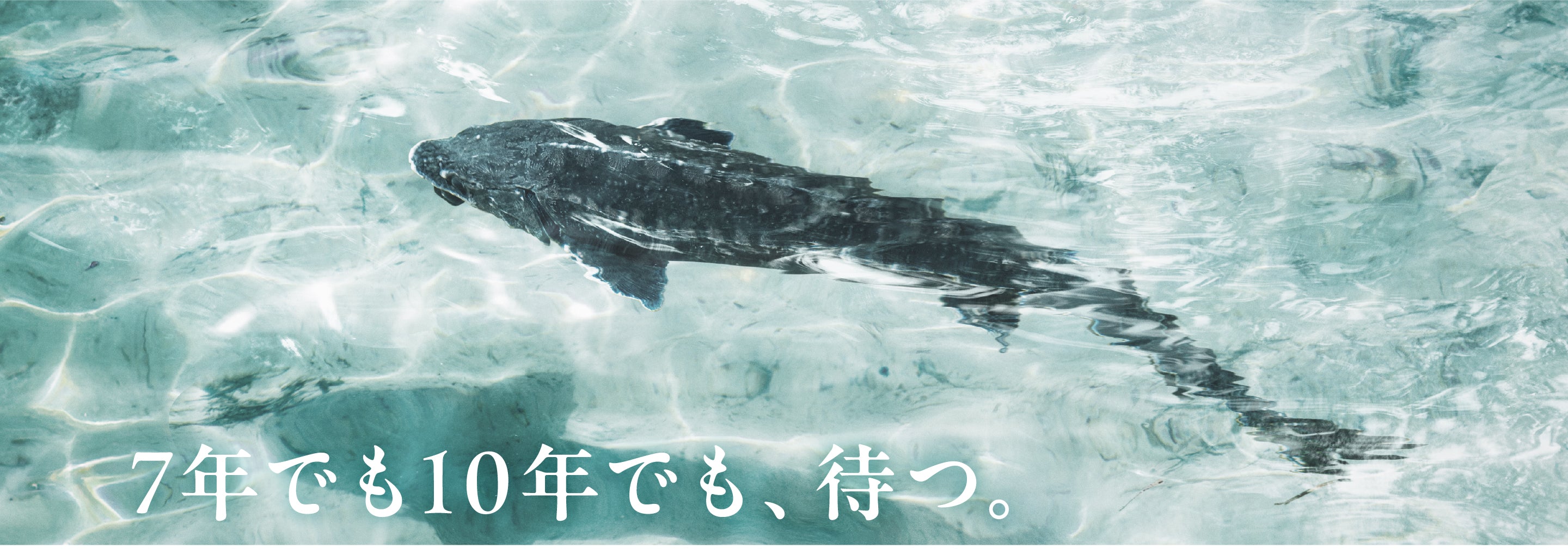 7年でも10年でも、待つ。