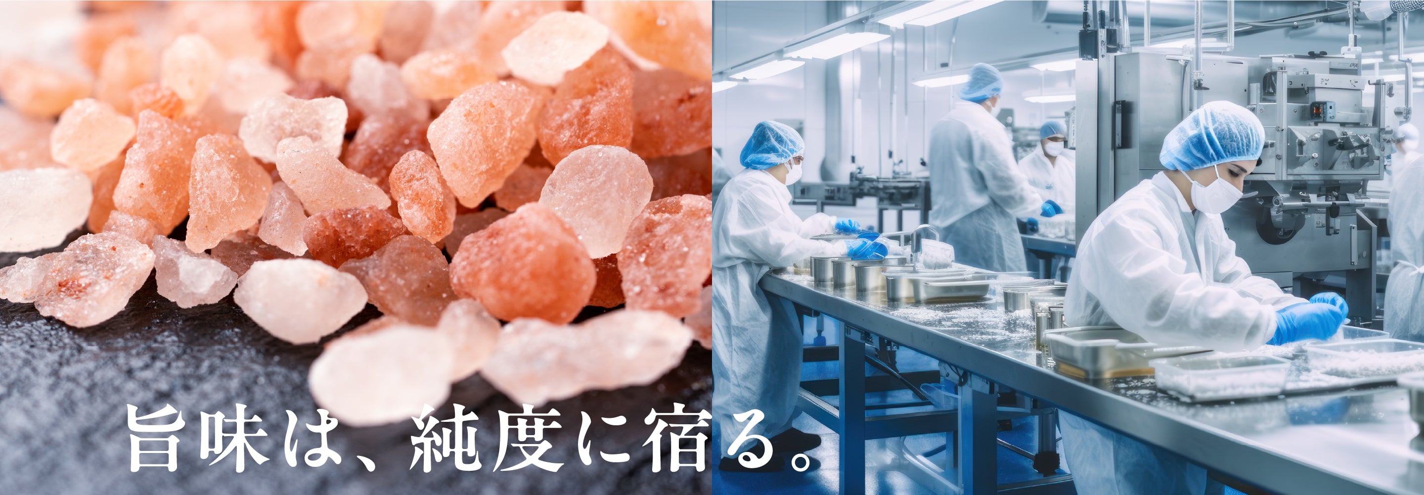 旨味は、純度に宿る。